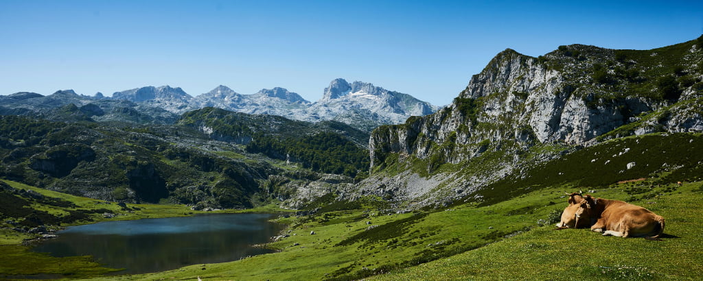 autocaravanas aragon ruta por asturias en autocaravana 4 dias ruta en autocaravana por el norte de españa la mejor ruta en autocaravana por los picos de europa