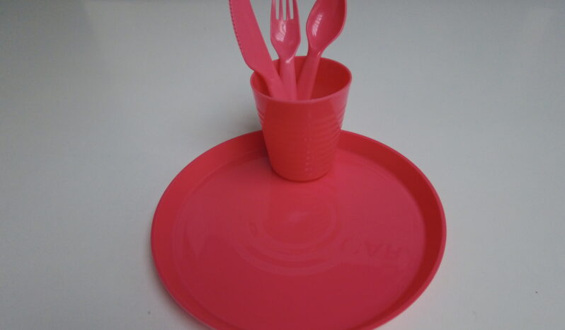 SET DE PÍCNIC ROSA lleno